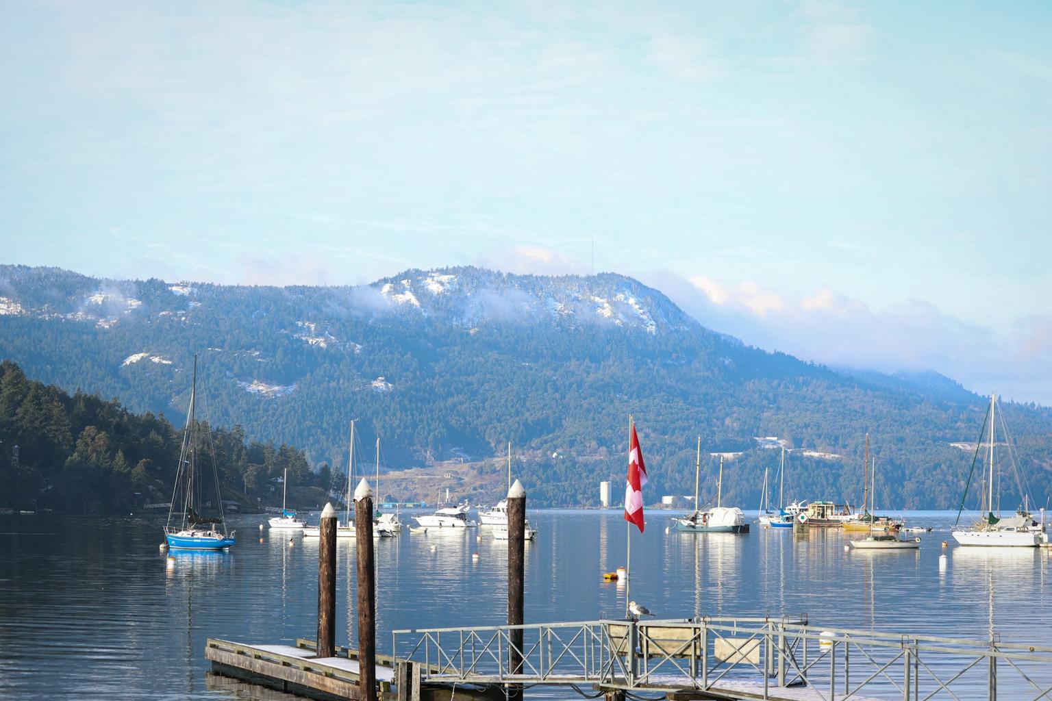 tofino, bc. photo by: Izzy Edey https://unsplash.com/@edeyphotograph